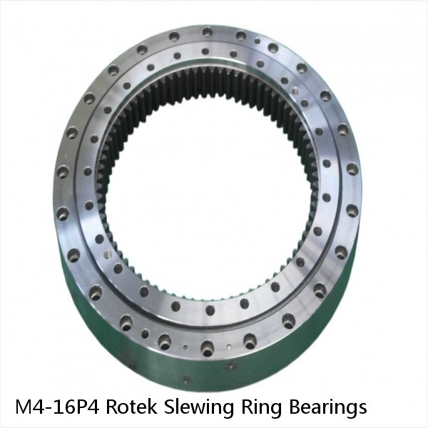 M4-16P4 Rotek Slewing Ring Bearings