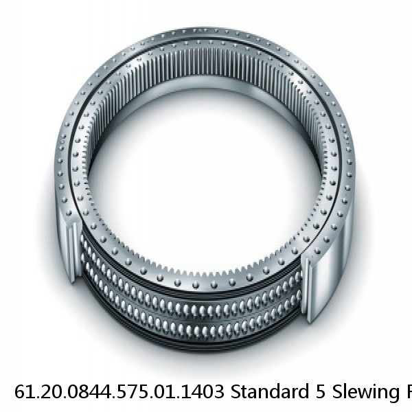 61.20.0844.575.01.1403 Standard 5 Slewing Ring Bearings #1 small image