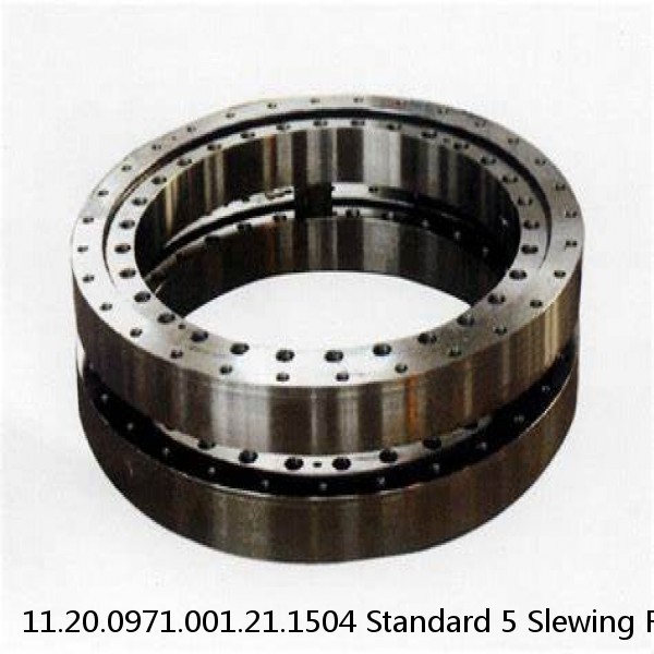 11.20.0971.001.21.1504 Standard 5 Slewing Ring Bearings #1 small image