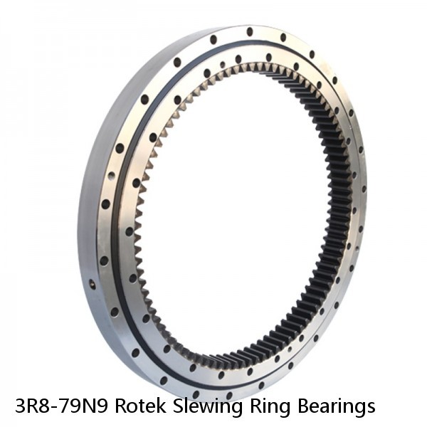 3R8-79N9 Rotek Slewing Ring Bearings #1 small image