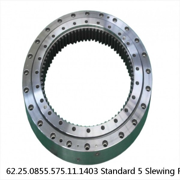 62.25.0855.575.11.1403 Standard 5 Slewing Ring Bearings #1 small image