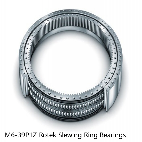 M6-39P1Z Rotek Slewing Ring Bearings #1 small image