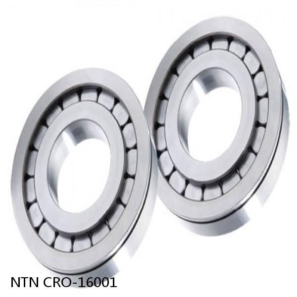 CRO-16001 NTN Cylindrical Roller Bearing #1 small image
