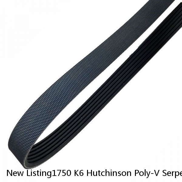 New Listing1750 K6 Hutchinson Poly-V Serpentine Belt Free Shipping Free Returns 6PK 1750 #1 small image