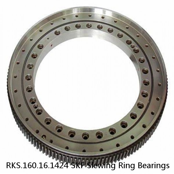 RKS.160.16.1424 SKF Slewing Ring Bearings #1 image