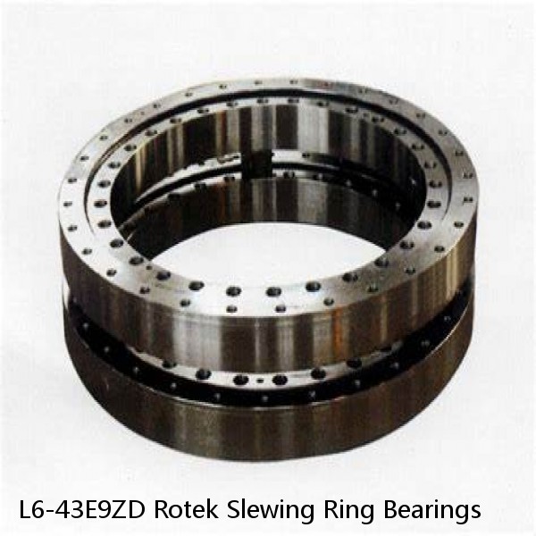 L6-43E9ZD Rotek Slewing Ring Bearings #1 image