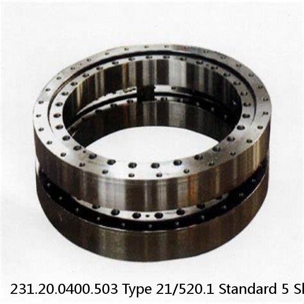231.20.0400.503 Type 21/520.1 Standard 5 Slewing Ring Bearings #1 image