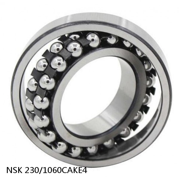 230/1060CAKE4 NSK Spherical Roller Bearing #1 image
