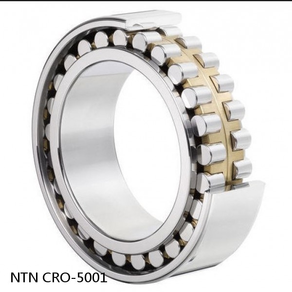 CRO-5001 NTN Cylindrical Roller Bearing #1 image