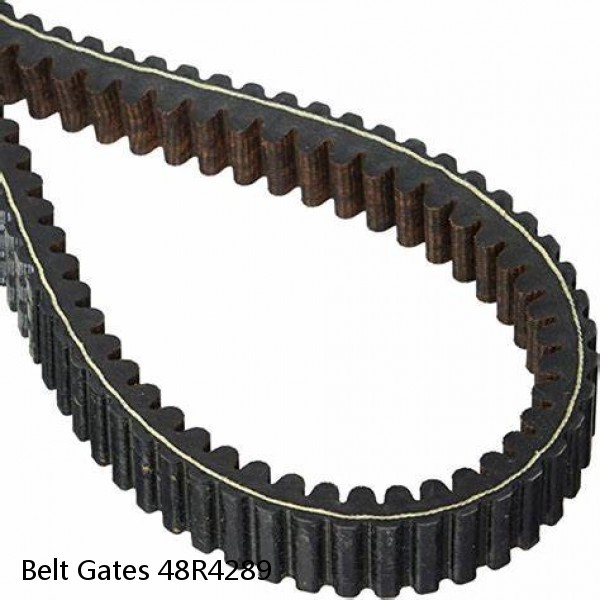 Belt Gates 48R4289 #1 image